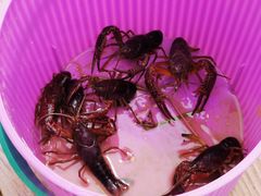 -三圣花乡旅游区