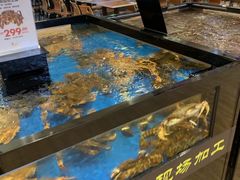-金鹰超市(国际购物中心新街口店)
