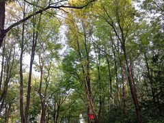 -古塔公园