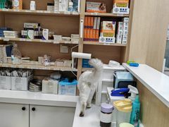 -美联众合动物医院·24h京西诊疗中心