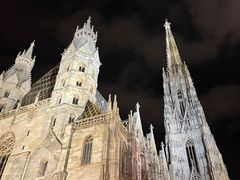 -斯蒂芬主教座堂(Stephansdom)