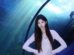 -左海海底世界