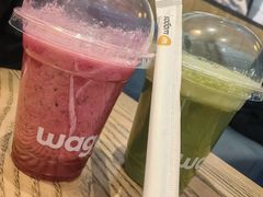 -Wagas沃歌斯(枫蓝国际店)