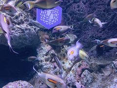 -成都浩海立方海洋公园