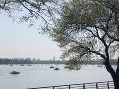 -长春市南湖公园