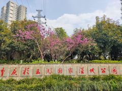 -重庆彩云湖湿地公园