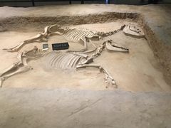 -洛阳周王城天子驾六博物馆