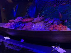 -涛·海底餐厅·美人鱼·自助餐·海底隧道(三亚海棠湾洲际度假酒店)
