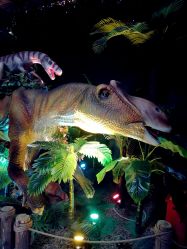 -恐龙探索乐园(磁器口店)