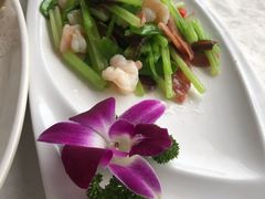 -云中小雅