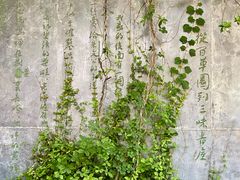 -绍兴鲁迅故里·沈园景区