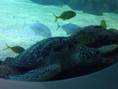 -常州海昌海洋探索馆