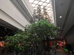 -中国湿地博物馆