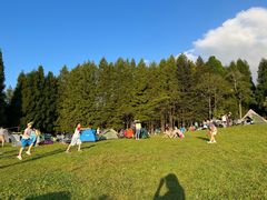 -武陵山森林公园