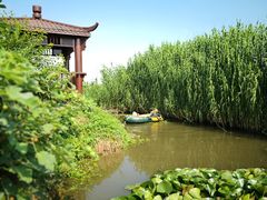 -樂桃源奉贤黄桃种植采摘基地