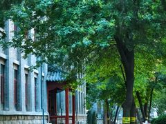 -山东大学(趵突泉校区)