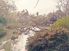 -上海醉白池公园