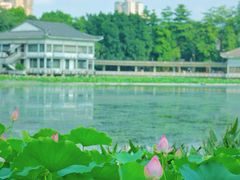 -荔湾湖公园