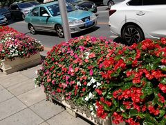 -大连富丽华大酒店