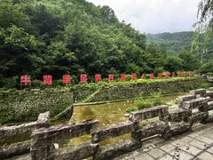 -牛背梁国家森林公园