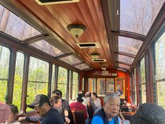 -合肥滨湖国家森林公园