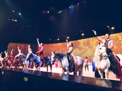 -cavalia·舞马