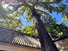 -青岛崂山太清宫
