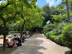 -九龙公园