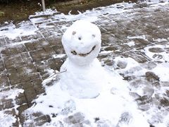 -北京大学百年讲堂