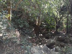 -火炉山森林公园