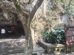 -黔灵山公园