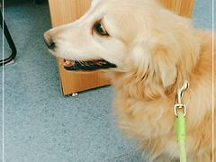 -北京赛佳动物医院