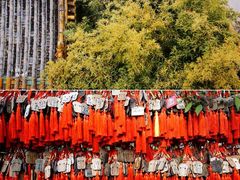 -潭柘寺景区