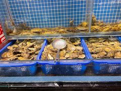 水产区-甄品麦哲伦海鲜和牛自助(万达广场店)