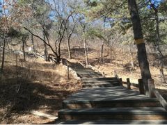 -北京西山国家森林公园