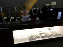 -虹桥机场国航贵宾室v8