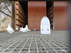 -良渚古城遗址公园