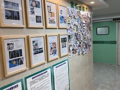-半岛宠物医院24小时·内窥镜·牙科·碎石中心(府城大道店)
