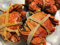 俄罗斯帝王蟹-盒马鲜生(皇庭广场店)