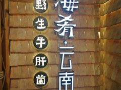 -云海肴·汽锅鸡·云南菜(天山百盛优客店)