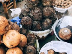 -溪口-滕头旅游景区