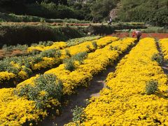 -乐享养生(东湖店)