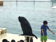 -秦皇岛乐岛海洋王国