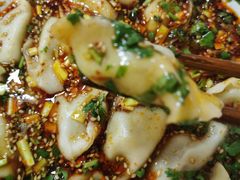 牛肉韭黄饺子-尤素福东举院饺子馆