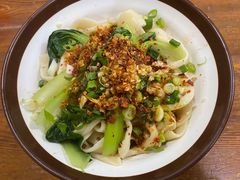 牛肉油泼扯面-马振面(小皮院店)