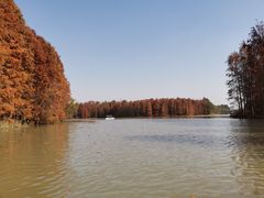 -上海海湾国家森林公园