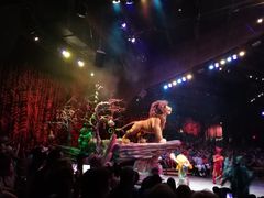 -奥兰多迪士尼动物王国乐园