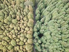 -山王坪喀斯特国家生态公园