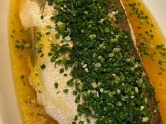 鸡汁蒸大白水鱼-玫瑰厅上海菜(兴国路店)