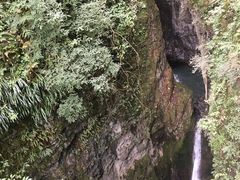 -鹿院坪生态旅游景区